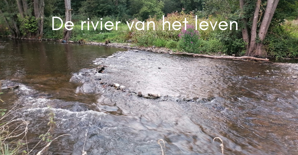Gedicht Poëzieweek 2026 ‘De rivier van het leven’